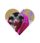 ♥フクモモLIFE♥（個別スタンプ：8）