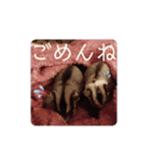 ♥フクモモLIFE♥（個別スタンプ：10）