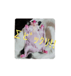 ♥フクモモLIFE♥（個別スタンプ：11）