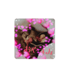 ♥フクモモLIFE♥（個別スタンプ：13）