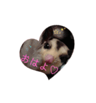 ♥フクモモLIFE♥（個別スタンプ：14）