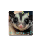 ♥フクモモLIFE♥（個別スタンプ：16）