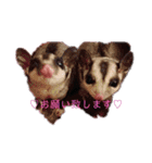 ♥フクモモLIFE♥（個別スタンプ：17）