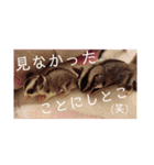 ♥フクモモLIFE♥（個別スタンプ：18）