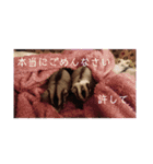 ♥フクモモLIFE♥（個別スタンプ：19）