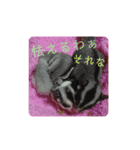 ♥フクモモLIFE♥（個別スタンプ：20）