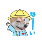 我が家のみかんのスタンプ（個別スタンプ：5）