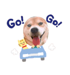 我が家のみかんのスタンプ（個別スタンプ：13）