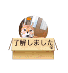 我が家のみかんのスタンプ（個別スタンプ：17）