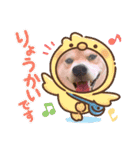 我が家のみかんのスタンプ（個別スタンプ：18）
