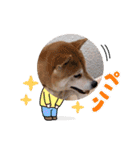 我が家のみかんのスタンプ（個別スタンプ：21）