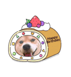 我が家のみかんのスタンプ（個別スタンプ：23）