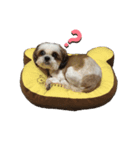 メルココ（個別スタンプ：4）