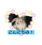 うさぎのととろうスタンプ（個別スタンプ：3）