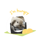 うさぎのととろうスタンプ（個別スタンプ：6）
