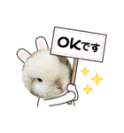 うさぎのととろうスタンプ（個別スタンプ：8）