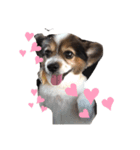 れっくん♡（個別スタンプ：3）