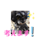 ARONちゃん（個別スタンプ：3）