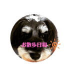 ARONちゃん（個別スタンプ：4）