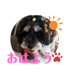 ARONちゃん（個別スタンプ：5）