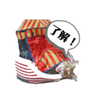 茶トラ 猫のスー ネコねこ スタンプ（個別スタンプ：8）
