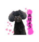 ろろ丸係長(挨拶編)（個別スタンプ：1）