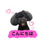 ろろ丸係長(挨拶編)（個別スタンプ：2）