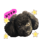 ろろ丸係長(挨拶編)（個別スタンプ：4）