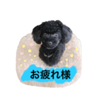 ろろ丸係長(挨拶編)（個別スタンプ：6）