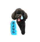 ろろ丸係長(挨拶編)（個別スタンプ：8）