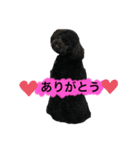 ろろ丸係長(挨拶編)（個別スタンプ：9）