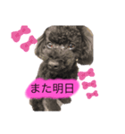 ろろ丸係長(挨拶編)（個別スタンプ：11）