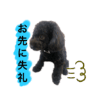 ろろ丸係長(挨拶編)（個別スタンプ：13）