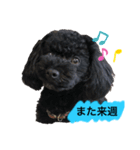 ろろ丸係長(挨拶編)（個別スタンプ：15）