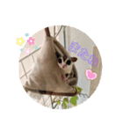 モモンガ癒されスタンプ（個別スタンプ：5）