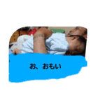 かいちゃんそらちゃんすぺしゃる（個別スタンプ：6）