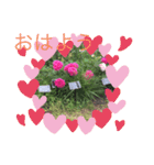 お花のスタンプだよ3（個別スタンプ：1）