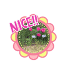 お花のスタンプだよ3（個別スタンプ：7）