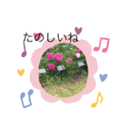 お花のスタンプだよ3（個別スタンプ：11）