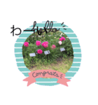 お花のスタンプだよ3（個別スタンプ：13）
