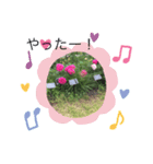 お花のスタンプだよ3（個別スタンプ：16）