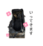 黒マメスタンプ2（個別スタンプ：3）