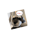トムだってできるもん！（個別スタンプ：1）