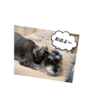 トムだってできるもん！（個別スタンプ：7）