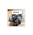 トムだってできるもん！（個別スタンプ：12）