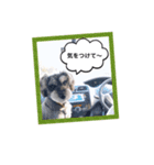 トムだってできるもん！（個別スタンプ：13）