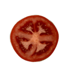 トマト tomato（個別スタンプ：1）