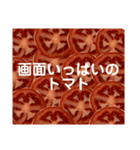 トマト tomato（個別スタンプ：6）