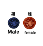 トマト tomato（個別スタンプ：16）