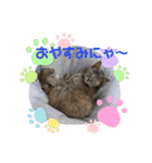 おうちゃん★ララちゃん 猫にゃんスタンプ（個別スタンプ：3）